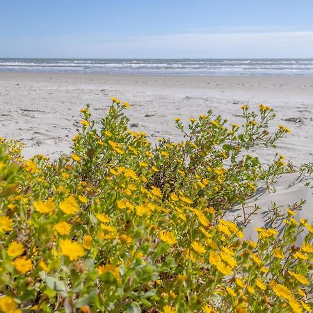 Islander East Condominiums Galveston Buitenkant foto